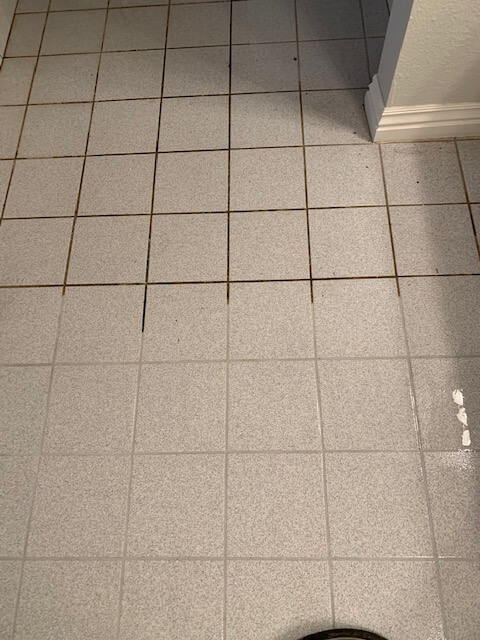 Springdale Ar Cleaning Services Stanley Steemer Image