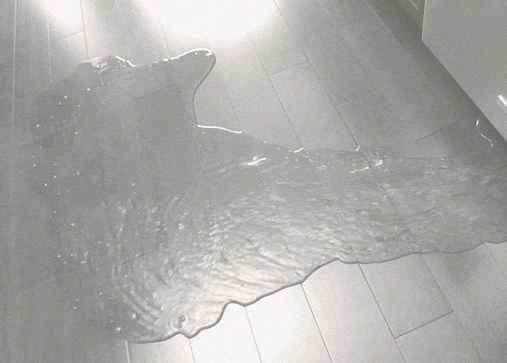 Carpet Cleaning Stanley Steemer Now That Your Carpet Is Cleaner Than Ever